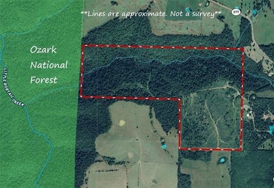 /international/us/166-acres-hwy-377-marshall-ar-110101507268/?lang=en