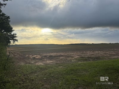 /international/us/1-old-stage-road-repton-al-110108850124/