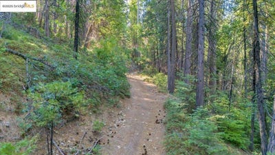 /international/us/fallen-leaf-ln-twain-harte-ca-110101619405/