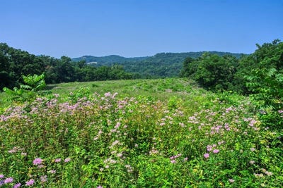 /international/us/165-acres-miess-road-dodgeville-wi-110096641060/?lang=zh-tw