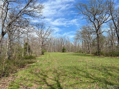 /international/us/24755-mayapple-lane-lebanon-mo-110107509999/