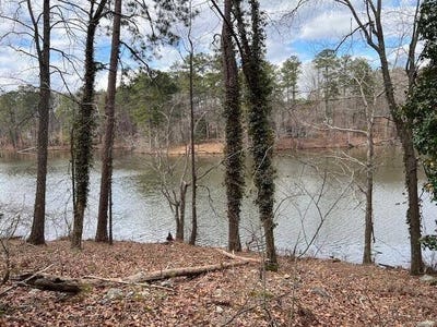 /international/us/0-lower-dixie-lake-rd-union-city-ga-110107418487/