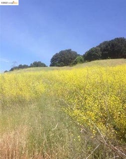 /international/us/15-abbie-ln-el-sobrante-ca-110084268073/