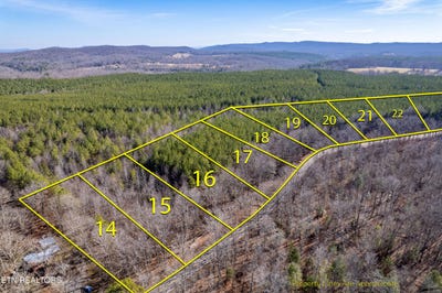 /international/us/lower-rockwood-rd-lot-17-rockwood-tn-110120106783/
