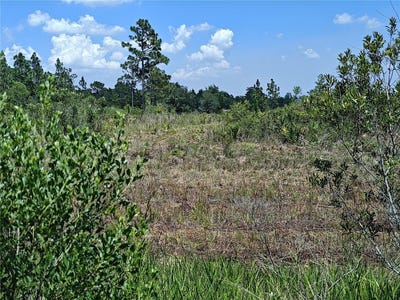 /international/us/shakedown-street-st-cloud-fl-110120829394/