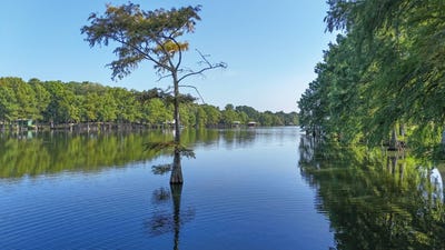 /international/us/553-davis-lake-rd-columbia-la-110101292768/?lang=zh-tw