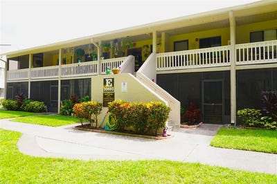/international/us/20893-haulover-cove-lutz-fl-110109611178/