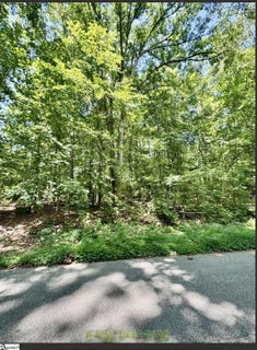 /international/us/adair-place-lot-b-laurens-sc-110106072234/