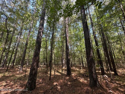 /international/us/7-forest-service-road-562-pulaski-ms-110106365443/
