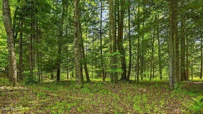 /international/us/l1-6-crystal-brook-path-jefferson-ny-110108416423/