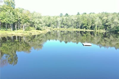/international/us/17-gold-dan-swan-lake-ny-110095481072/