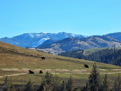 /international/us/18817-us-hwy-26-mitchell-or-110090857704/