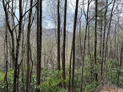 /international/us/stillwind-dr-lot-16-topton-nc-110104547588/