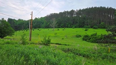 /international/us/00-buffalo-street-coudersport-pa-110097309777/?lang=zh-tw