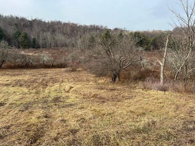 /international/us/997-state-route-367-laceyville-pa-110101393973/?lang=zh-tw