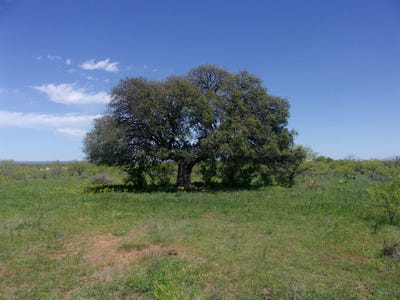 /international/us/2698-cr-105-castell-tx-110091231587/
