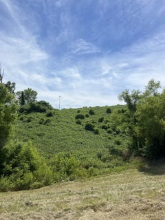 /international/us/w-hwy-178-w-blue-springs-ms-110092747855/