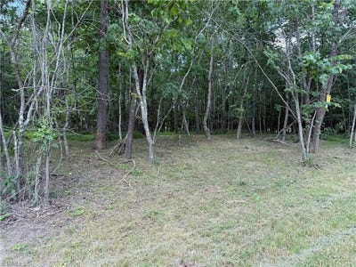 /international/us/lot-5-purcell-road-reidsville-nc-110100518331/