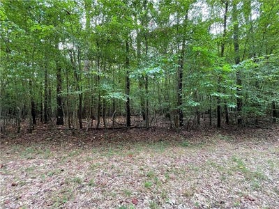 /international/us/10-88-ac-beech-creek-road-gloucester-county-va-110101193806/?lang=pt