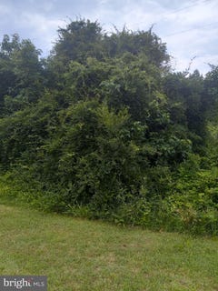 /international/us/lewis-estates-lane-lot-5-spotsylvania-va-110084216902/