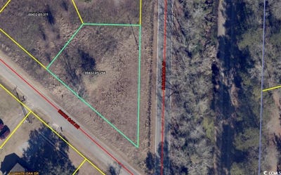 /international/us/n-railroad-ave-johnsonville-sc-110103374128/