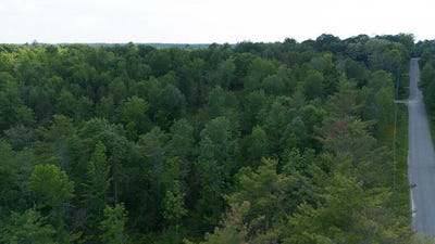 /international/us/pond-road-lot-1-burnham-me-110108904842/