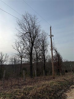 /international/us/unincorporated-mo-110106374510/