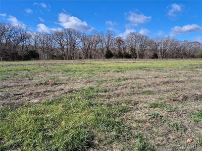 /international/us/0-logan-school-rd-15-2-acres-new-florence-mo-110108572300/