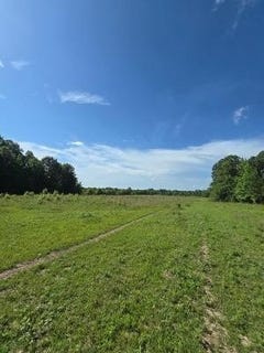 /international/us/153-county-road-123-houlka-ms-110108713712/