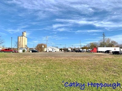 /international/us/261-s-dexter-street-ionia-mi-110090902081/