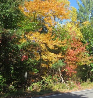 /international/us/0-elm-st-hanover-ma-110101180008/?lang=zh-cn
