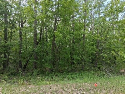 /international/us/country-club-drive-lot-231-mancelona-mi-110101349584/?lang=zh-tw