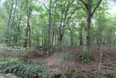 /international/us/ne-greenhill-trail-brookhaven-ms-110103775370/