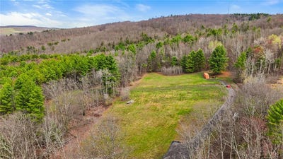 /international/us/reservior-hill-road-candor-ny-110107482607/
