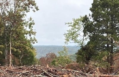 /international/us/46-madison-cr-410-fredericktown-mo-110094589524/
