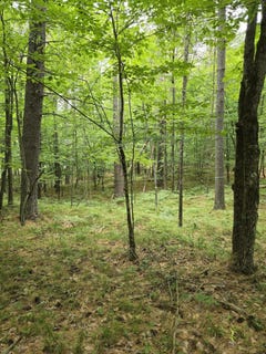 /international/us/38-algonquin-trail-jay-ny-110100561754/