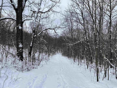 /international/us/79-acres-byers-rd-boscobel-wi-110105920101/
