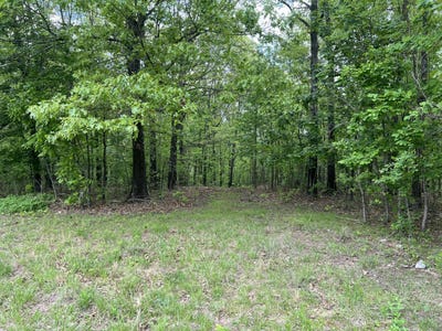 /international/us/county-road-321-ava-mo-110120457961/
