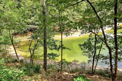 /international/us/lot-22-county-road-875-crane-hill-al-110104237423/