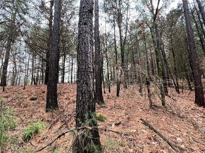 /international/us/613-gaskill-st-huntsville-ar-110096330087/