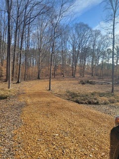 /international/us/181-valley-oak-drive-buchanan-tn-110106312075/