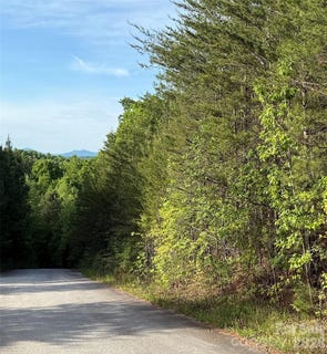 /international/us/shenandoah-drive-spindale-nc-110107638031/
