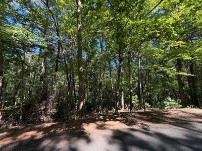 /international/us/305-seneca-drive-ellijay-ga-110120026423/
