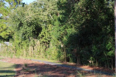 /international/us/257-royal-tern-way-lot-block-g-lot-4-carrabelle-fl-110120451582/