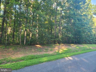 /international/us/harness-louisa-va-110100871576/