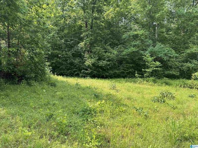 /international/us/00-county-road-25-heflin-al-110100050401/