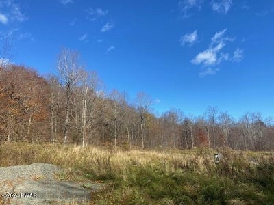 /international/us/rotten-road-equinunk-pa-110095735031/