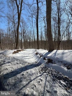 /international/us/boonsboro-mt-road-myersville-md-110105735309/