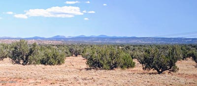 /international/us/lot-44-ranch-of-the-white-mountains-concho-az-110101149030/