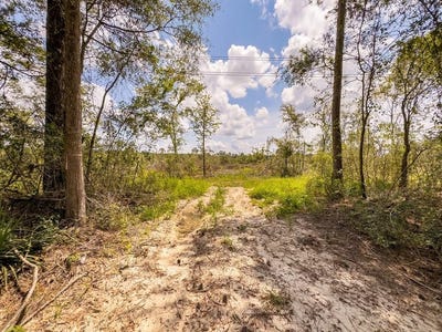 /international/us/r53358-tract-1-hwy-94-apple-springs-tx-110105931907/